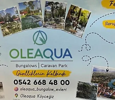 Oleaqua Bungalow Village & Caravan Park *